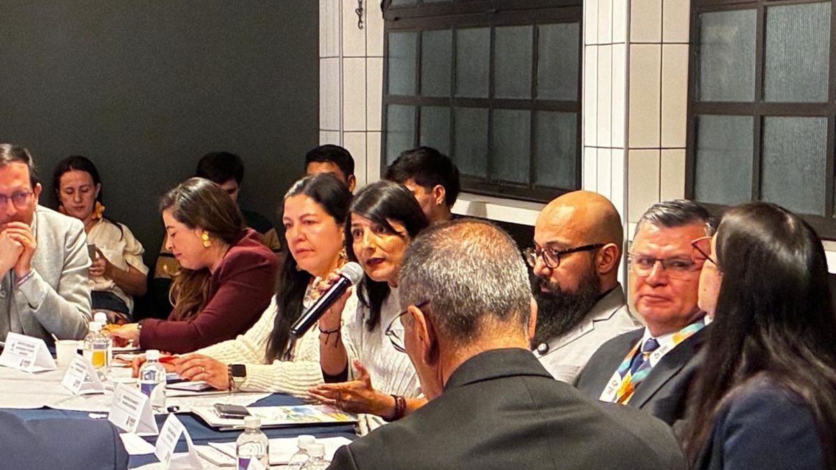 Ministra de Ambiente Irene Vélez