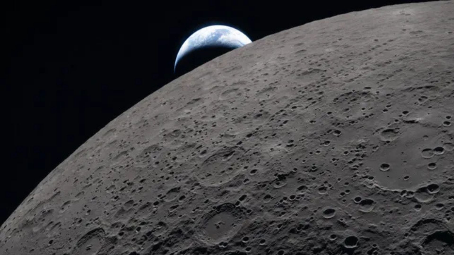 La Nasa encontró una oportunidad gracias a las características de los hongos negros.