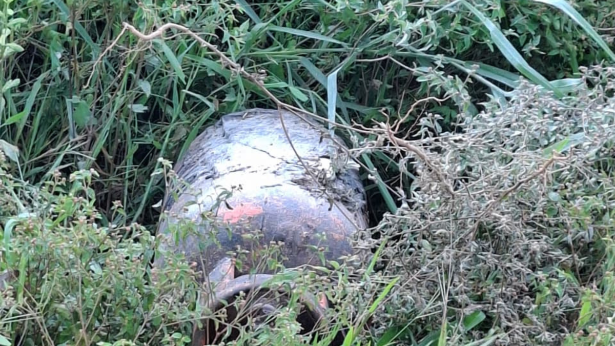 Explosivos contra soldados en el Guaviare