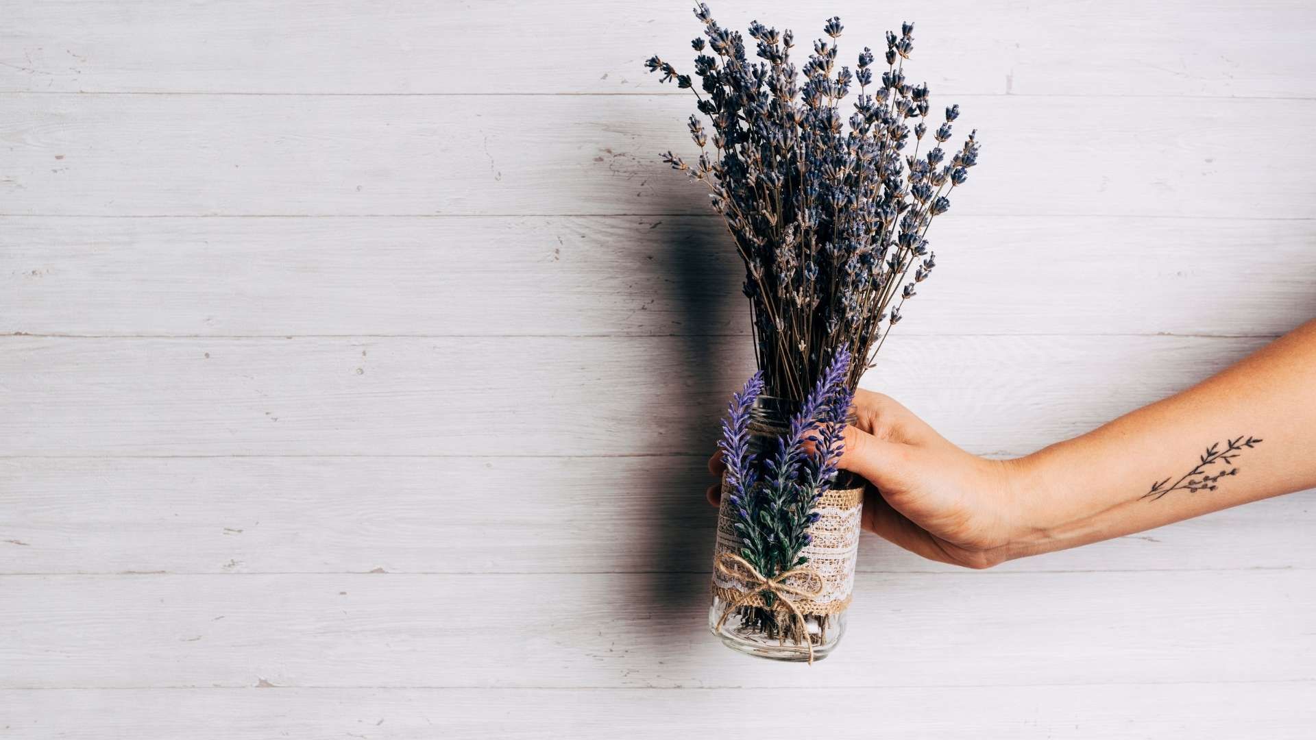 La lavanda es utilizada en hogares por su aroma y como alternativa natural contra insectos.