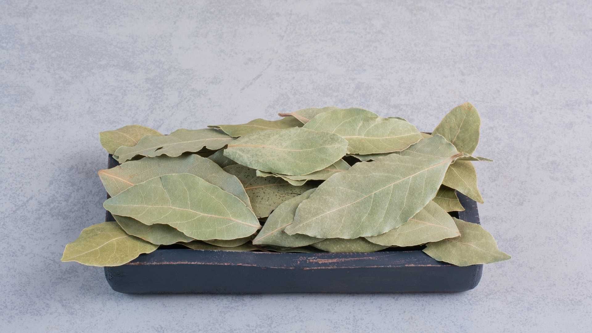 Las hojas de laurel suelen ponerse en despensas y rincones de cocina para alejar cucarachas.