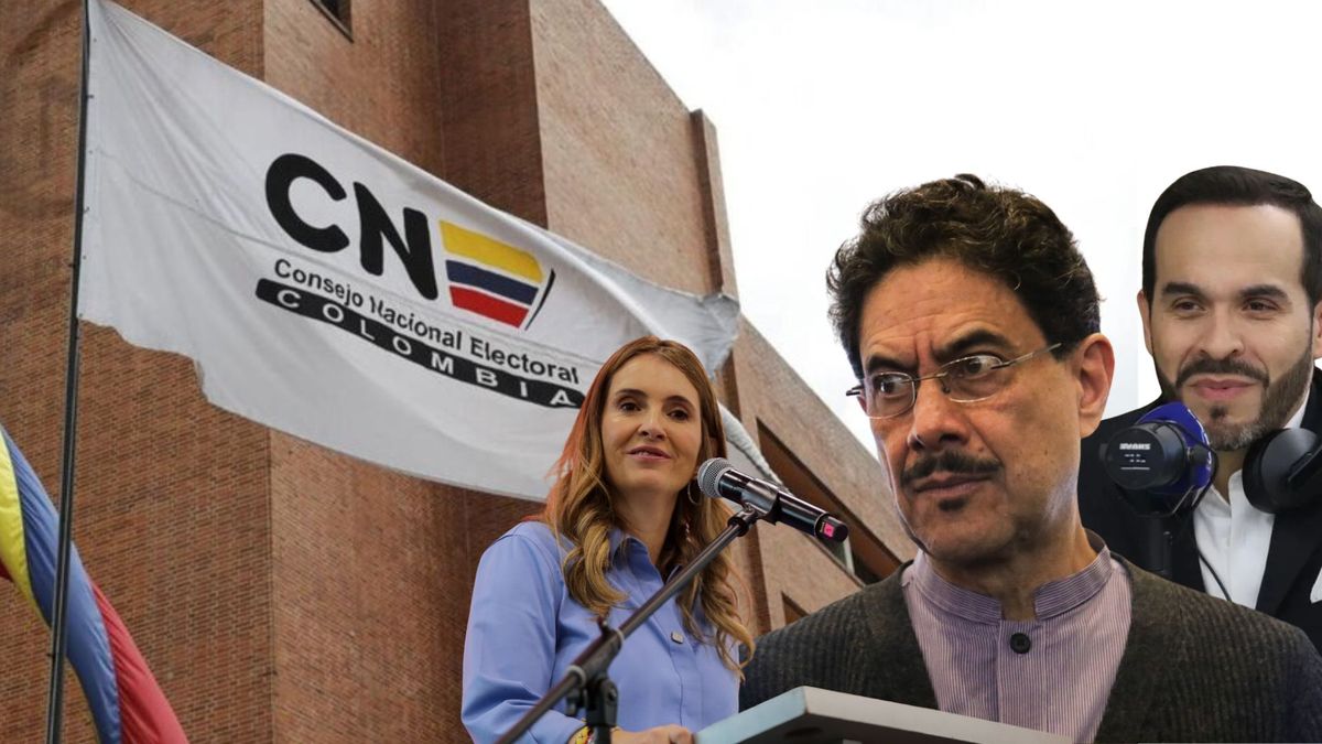 El Consejo Nacional Electoral realizará un llamado de atención.