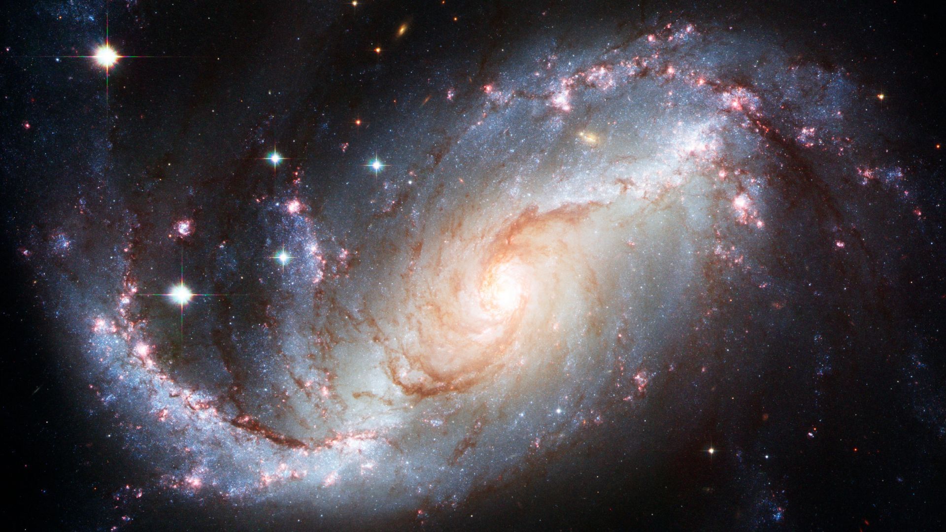 Hay todo tipo de estrellas en la galaxia, científicos estudian su composición.