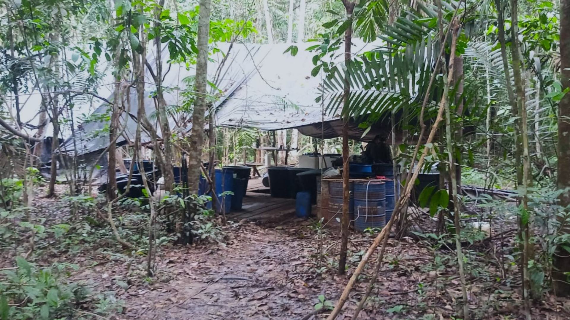 Laboratorio de droga en Guaviare.