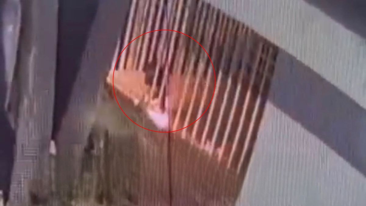 Perro quemado con gasolina en Santa Marta