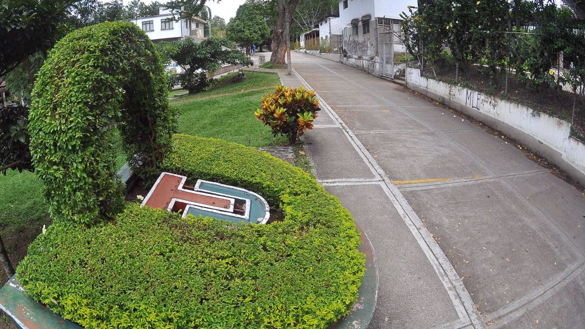 Universidad del Tolima