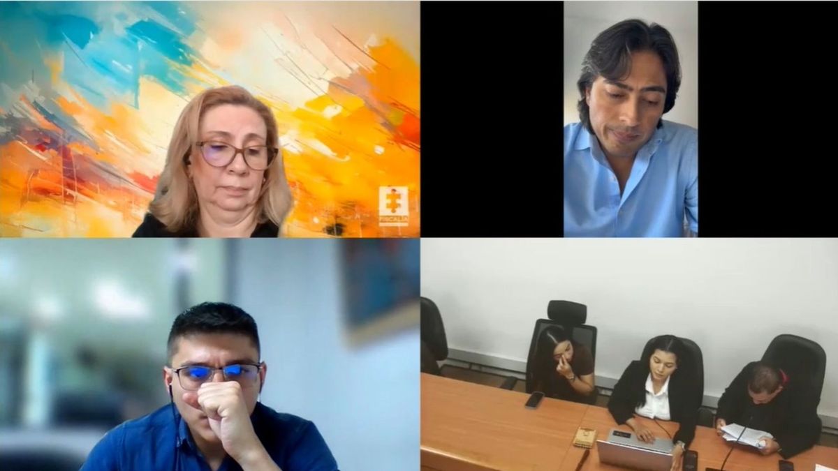 Defensor de Nicolás Petro solicitó a Juez separar del cargo a fiscal Lucy Laborde, Juez negó la petición