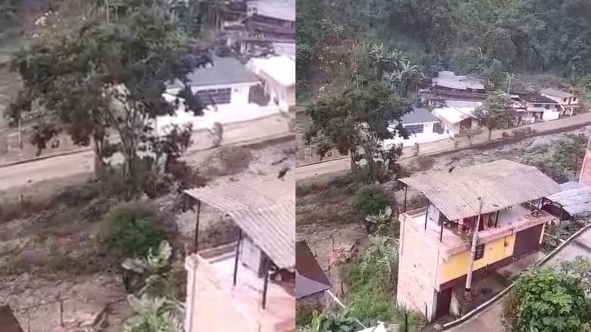 Quebrada santabarbara en Andes Antioquia