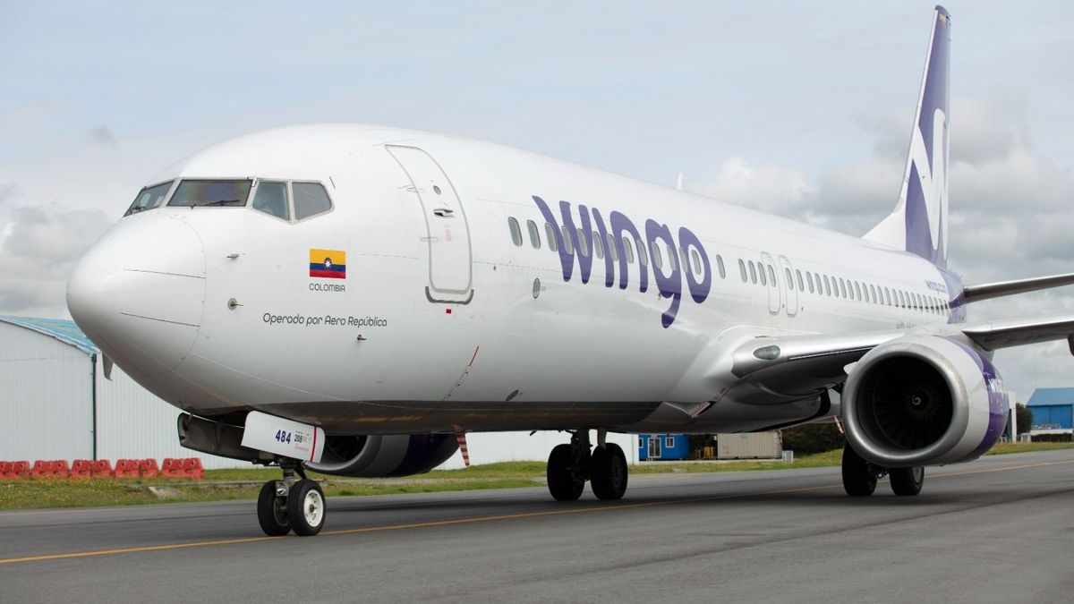 Referencia avión de Wingo