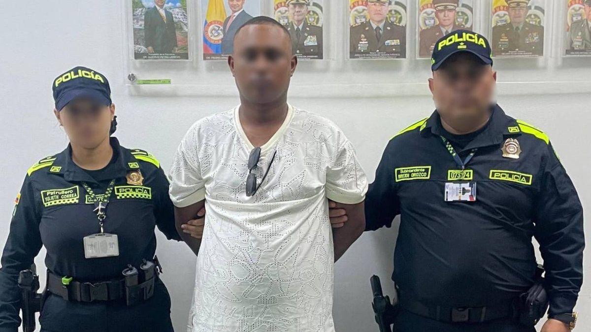 Hombre pretendía traficar ardillas drogadas ocultas en sus genitales desde Cartagena a República Dominicana