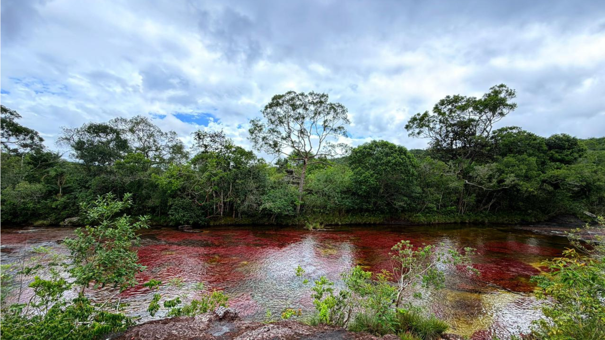 Caño Cristales Meta