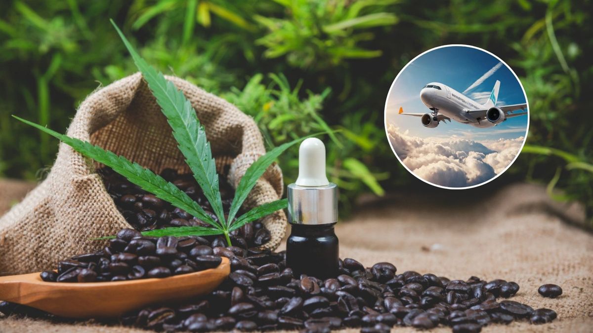 Es importante mencionar, que la autorización es para quienes usan cannabis con fines terapéuticos.