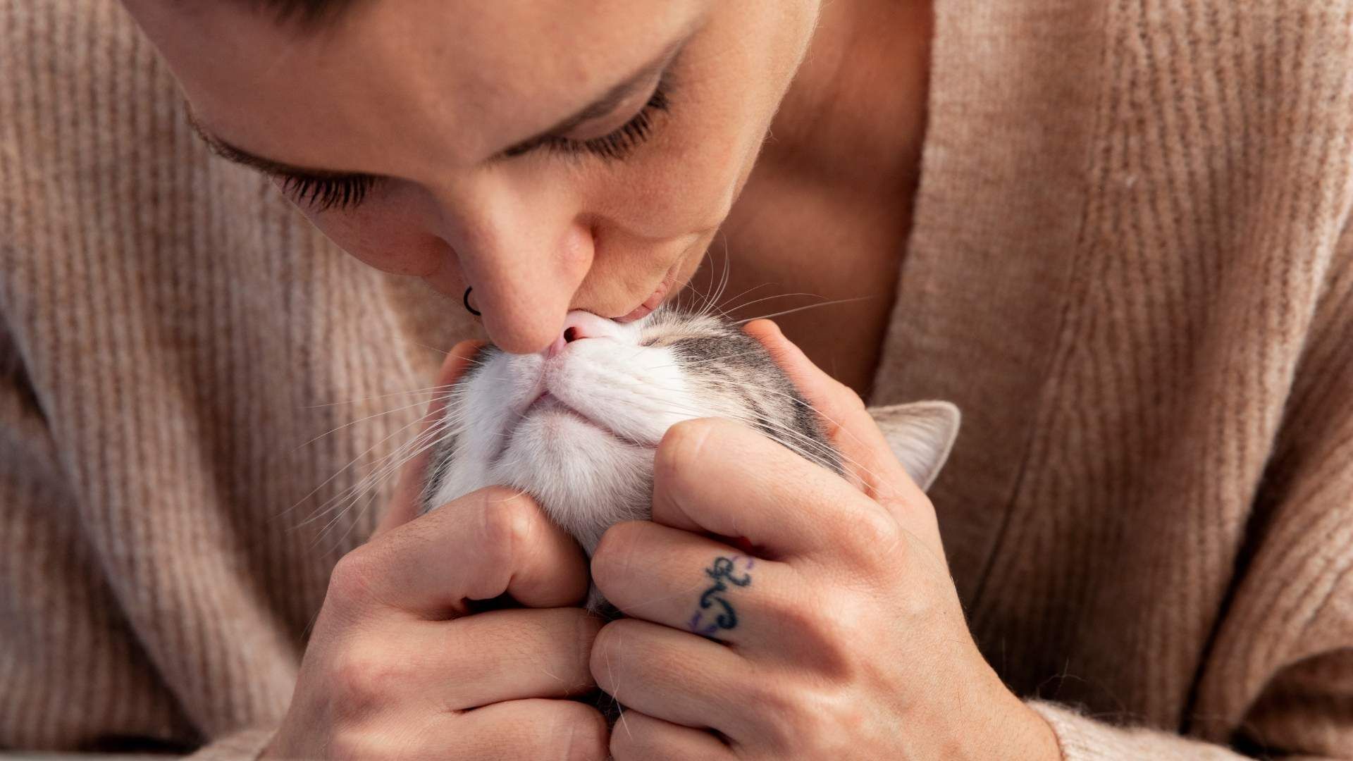 Un estudio analizó cómo las caricias y el contacto voluntario entre gatos y dueños influyen en procesos asociados al bienestar emocional.