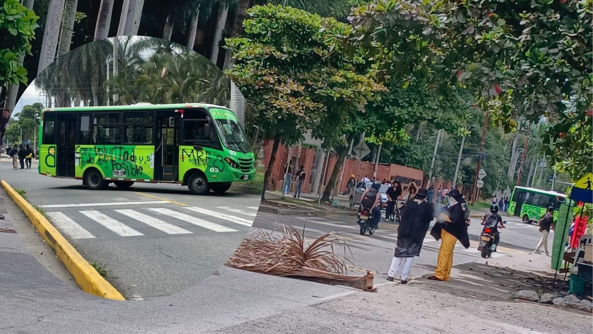 Vandalismo en la Universidad Nacional de Palmira, Valle