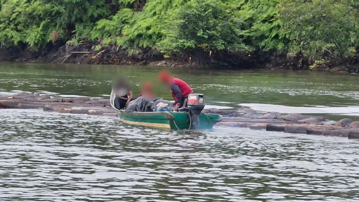 Operativo de incacutación de madera en el Bajo Baudó en el Chocó