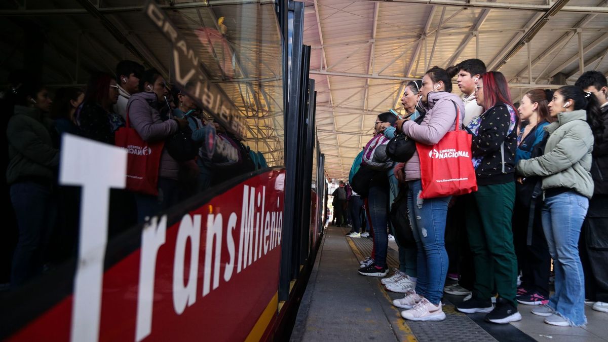 Cada una de estas conductas tiene una clasificación específica dentro del Código Nacional de Seguridad y Convivencia Ciudadana
