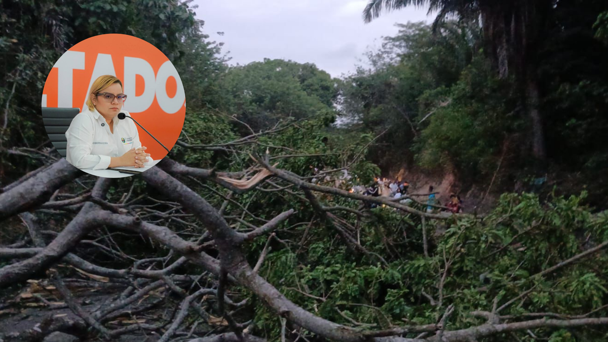 Gobernadora de Magdalena exige acción nacional ante bloqueos en Troncal del Caribe por combates