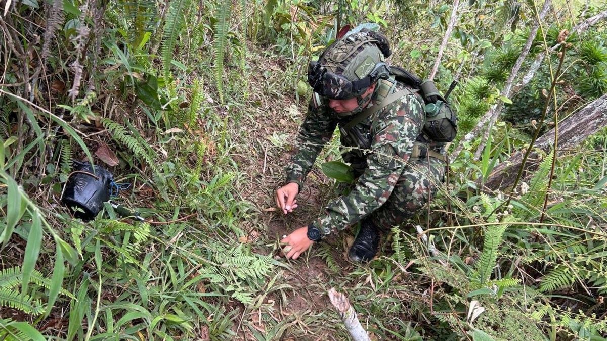 Ejército frustra atentado terrorista en Antioquia
