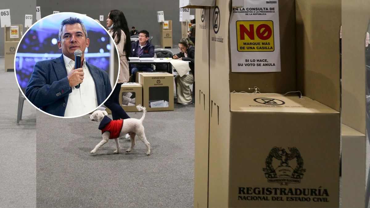 Según indicó, alrededor de 480.000 personas participarán en la organización de las elecciones y sostuvo que se tratará de uno de los procesos con mayor vigilancia por parte de los partidos políticos.
