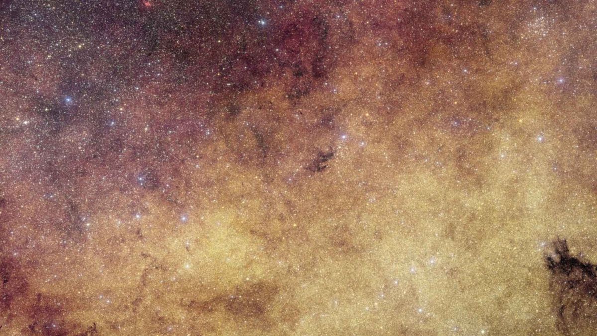 La misión Euclid registró más de 60 millones de estrellas en una sola observación del centro de la Vía Láctea.