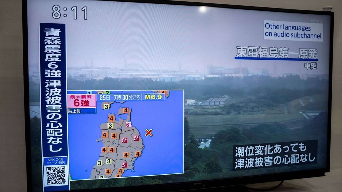 El sismo tuvo una magnitud de 6,9 y se registró cerca de la región de Iwate, en el norte de Japón, sin reportes de víctimas.