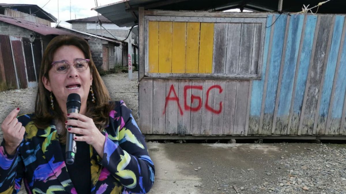 La exministra se refirió a las cosas que no le permitieron realizar en contra de los grupos armados.