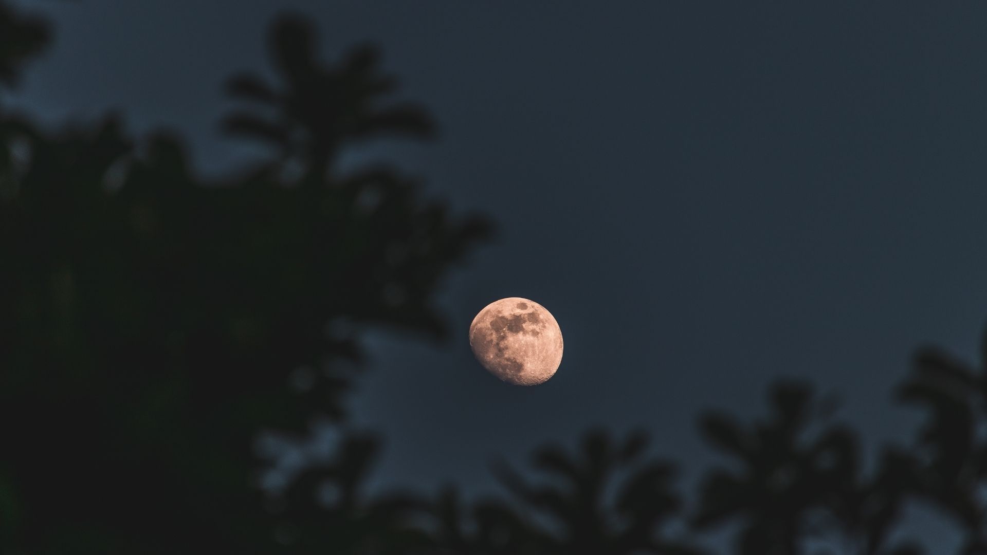 El feng shui recomienda aprovechar la Luna llena de fresa para establecer metas económicas y realizar rituales relacionados con el dinero.
