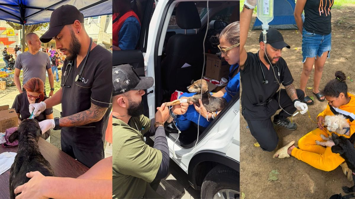 Veterinarios voluntarios de Pereira en Venezuela