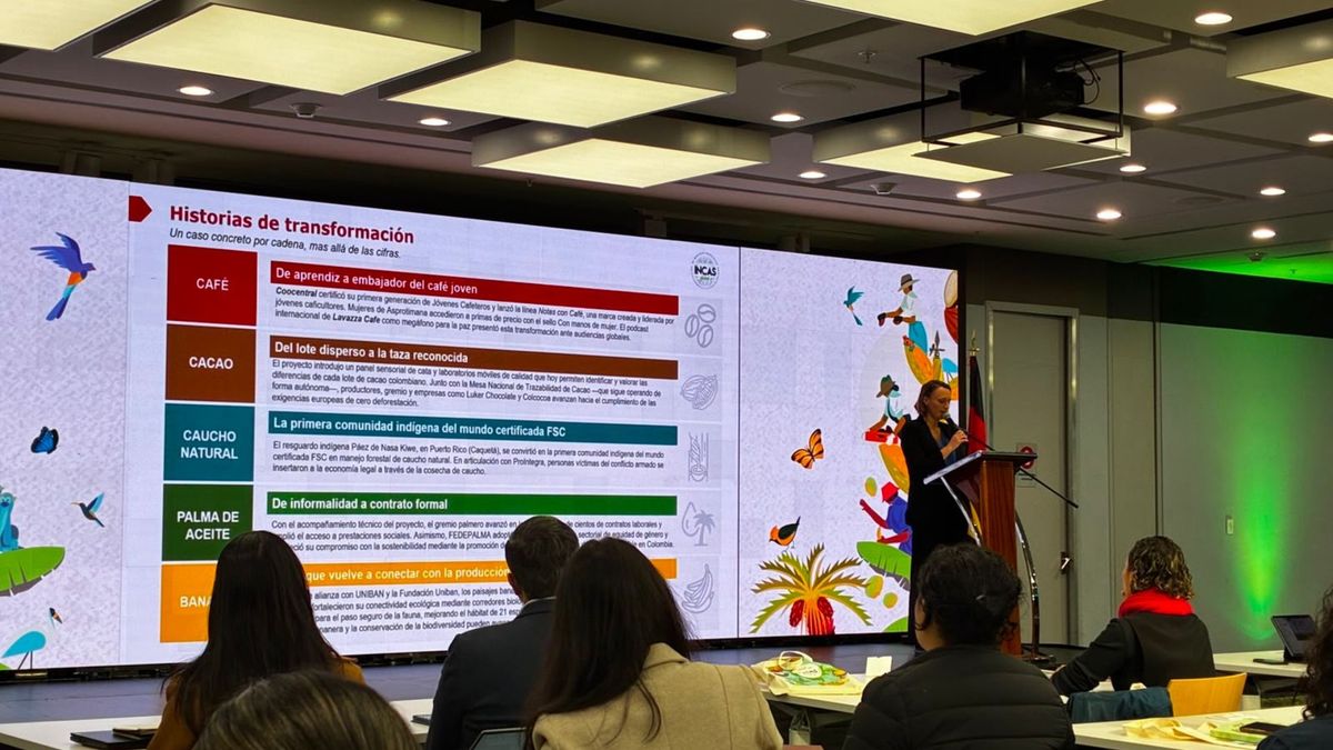 Presentación de resultados de INCAS Global+
