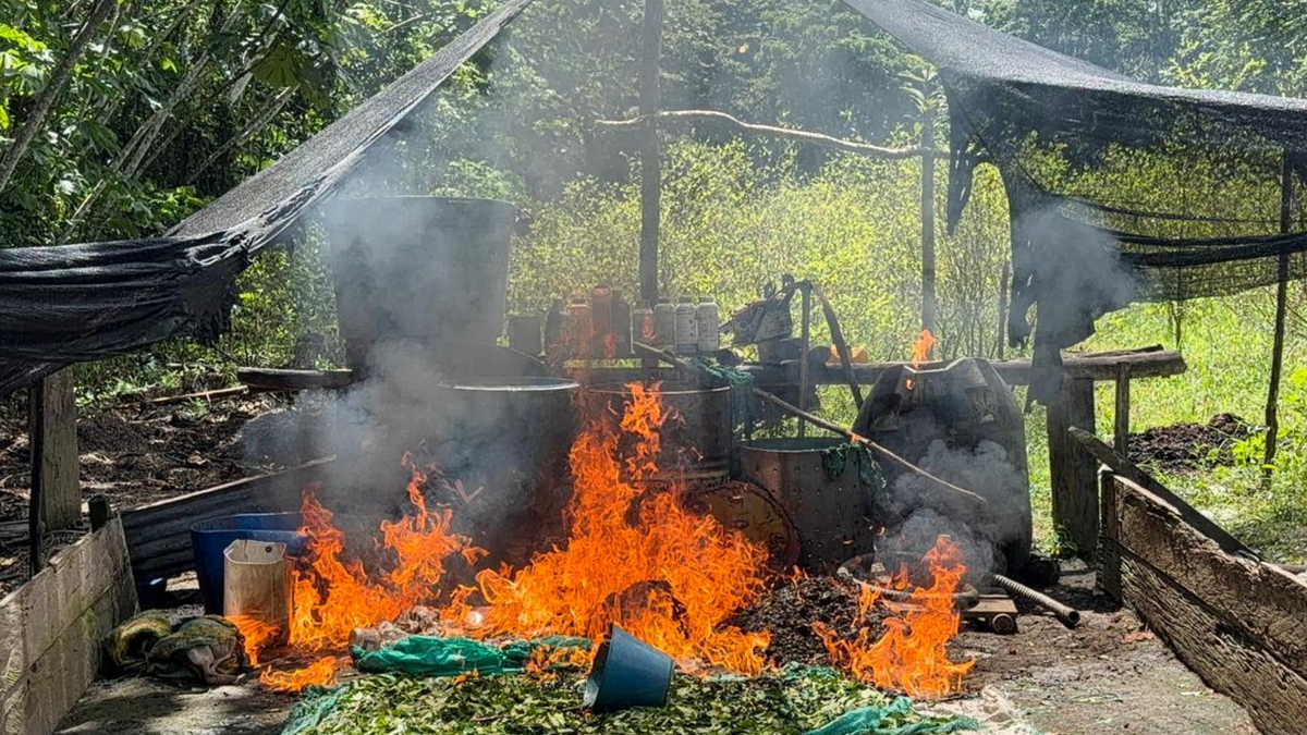 Laboratorio de droga de las disidencias de las Farc.