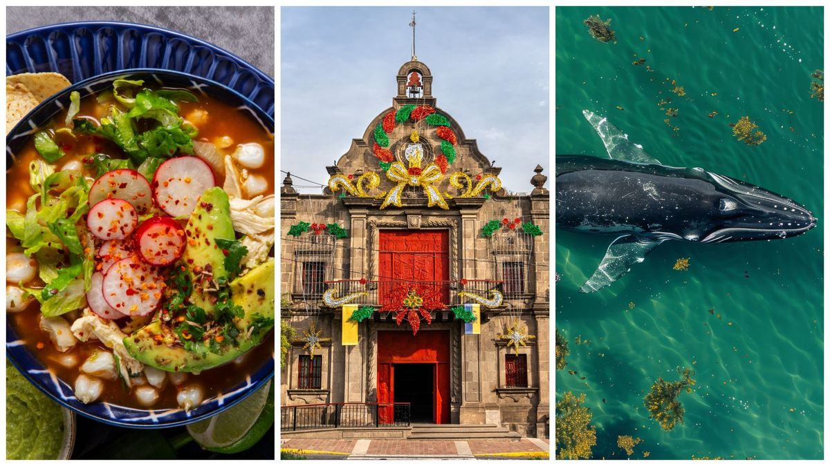 Conozca qué hacer y qué comer si visita Jalisco durante el Mundial 2026. Una guía de imperdibles más allá de Puerto Vallarta.