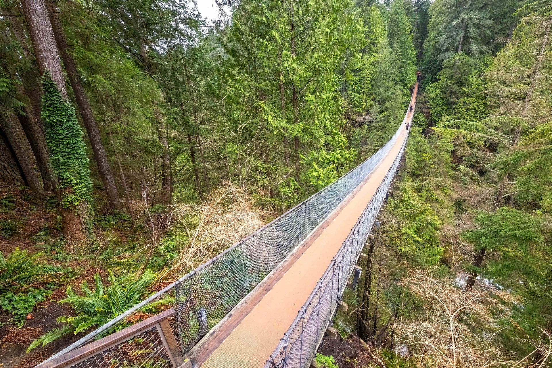 Capilano Bridge, puente colgante en Vancouver