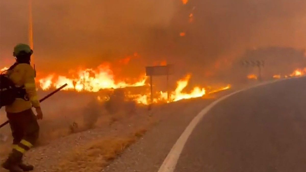 Bomberos trabajando en un incendio forestal que causó 11 muertos cerca de Bedar, en el distrito de Los Gallardos, en la provincia de Almería