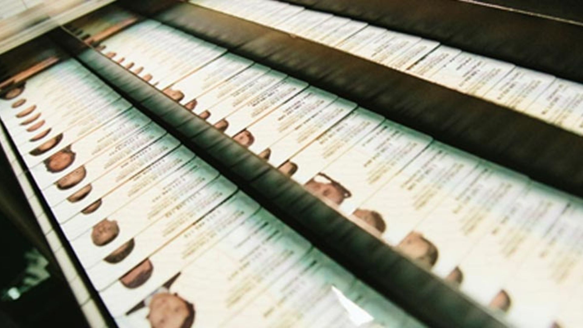 Cédulas