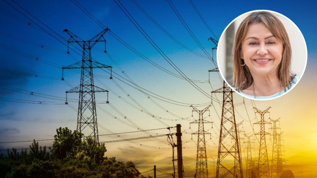 Abelardo de la Espriella anunció a María Noemí Arboleda Arango como ministra de Minas y Energía