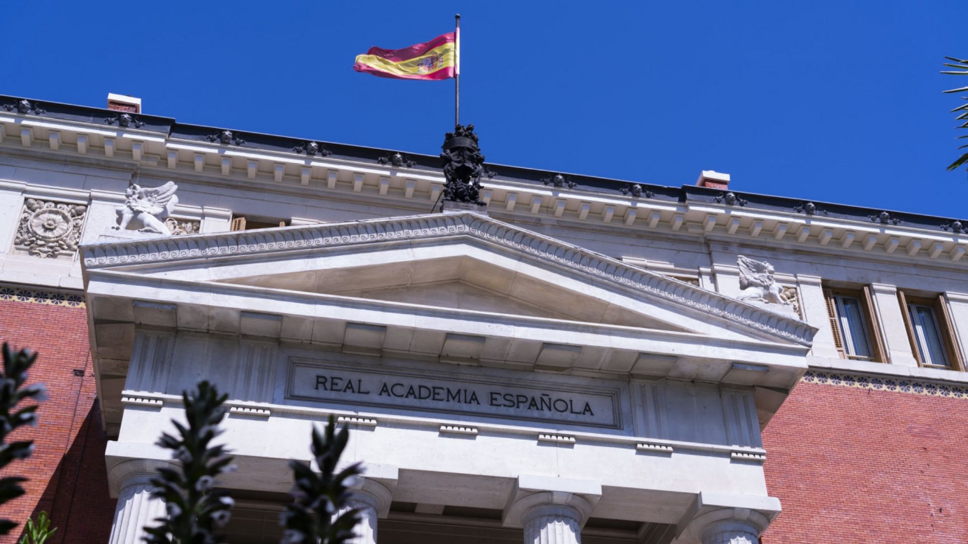 Real academia española