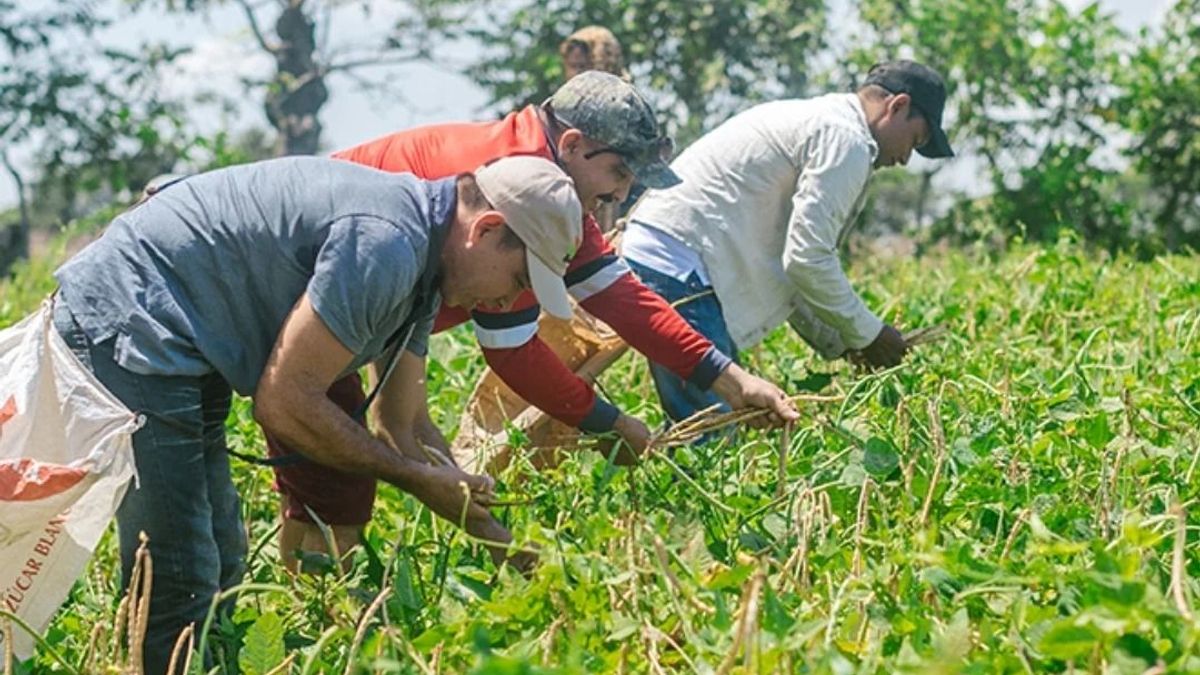 La entidad indicó que estos avances hacen parte de la hoja de ruta que quedará para la próxima administración.