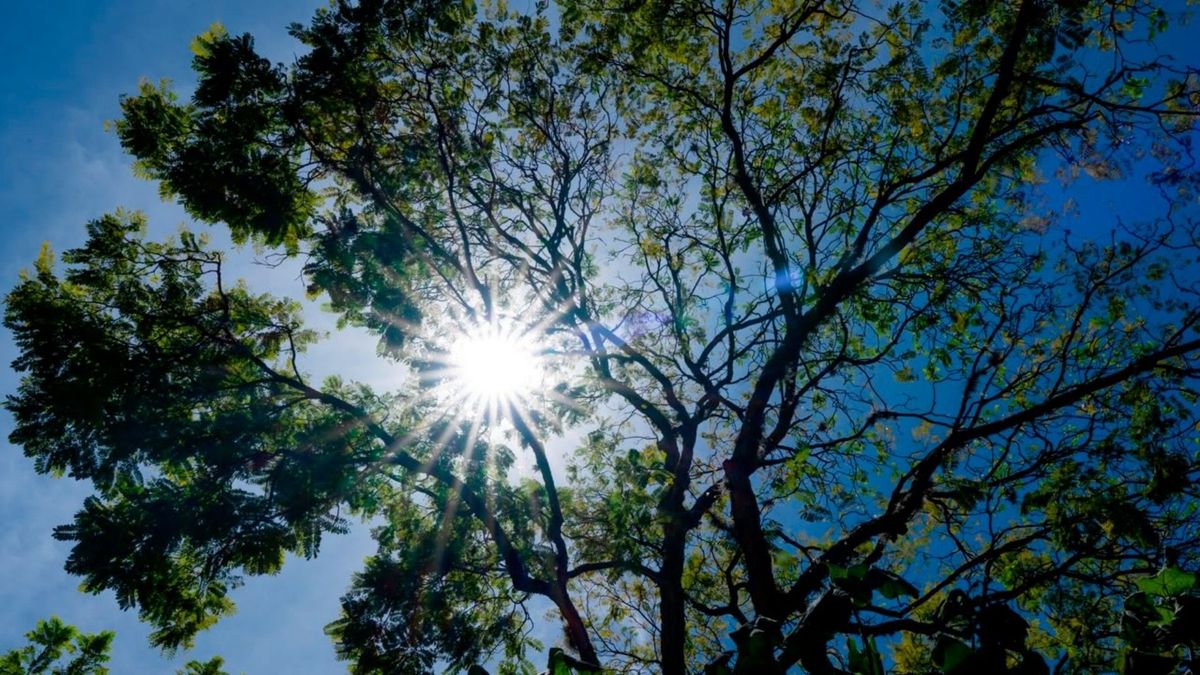 Temperatura en el Valle de Aburrá