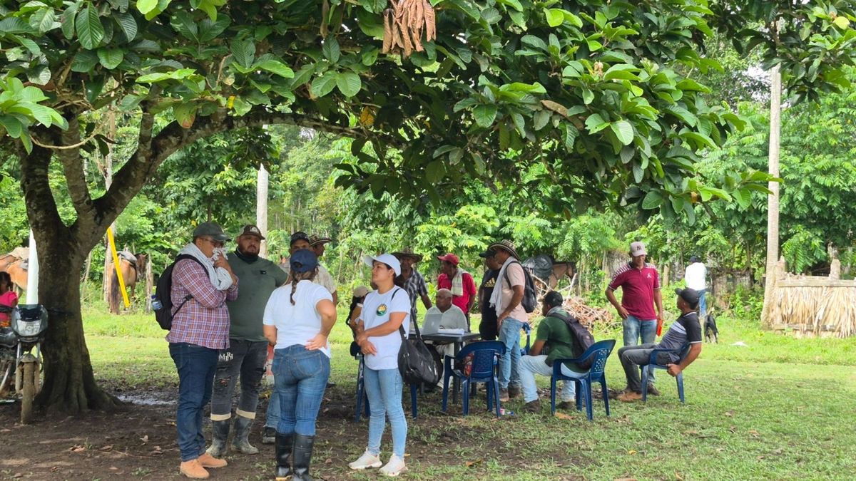 Campesinos del Urabá retornan a sus tierras tras ser desplazados