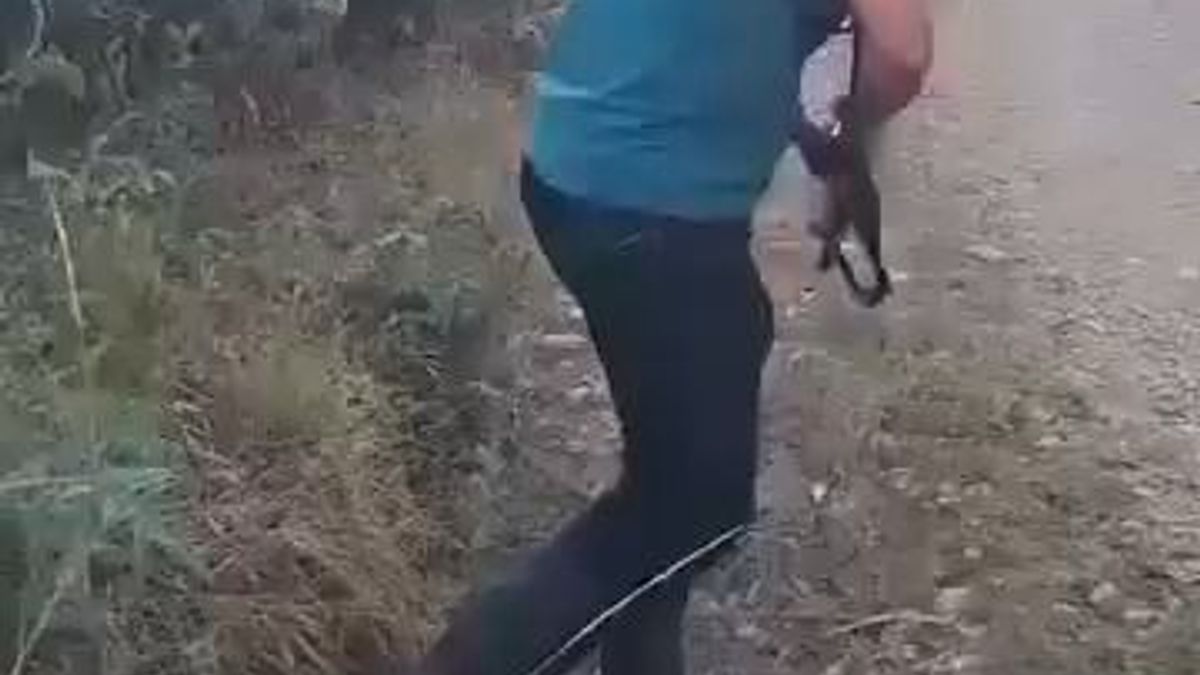 Combates entre Ejército y disidencias de las farc, se registran en el cañón del Micay en el Cauca
