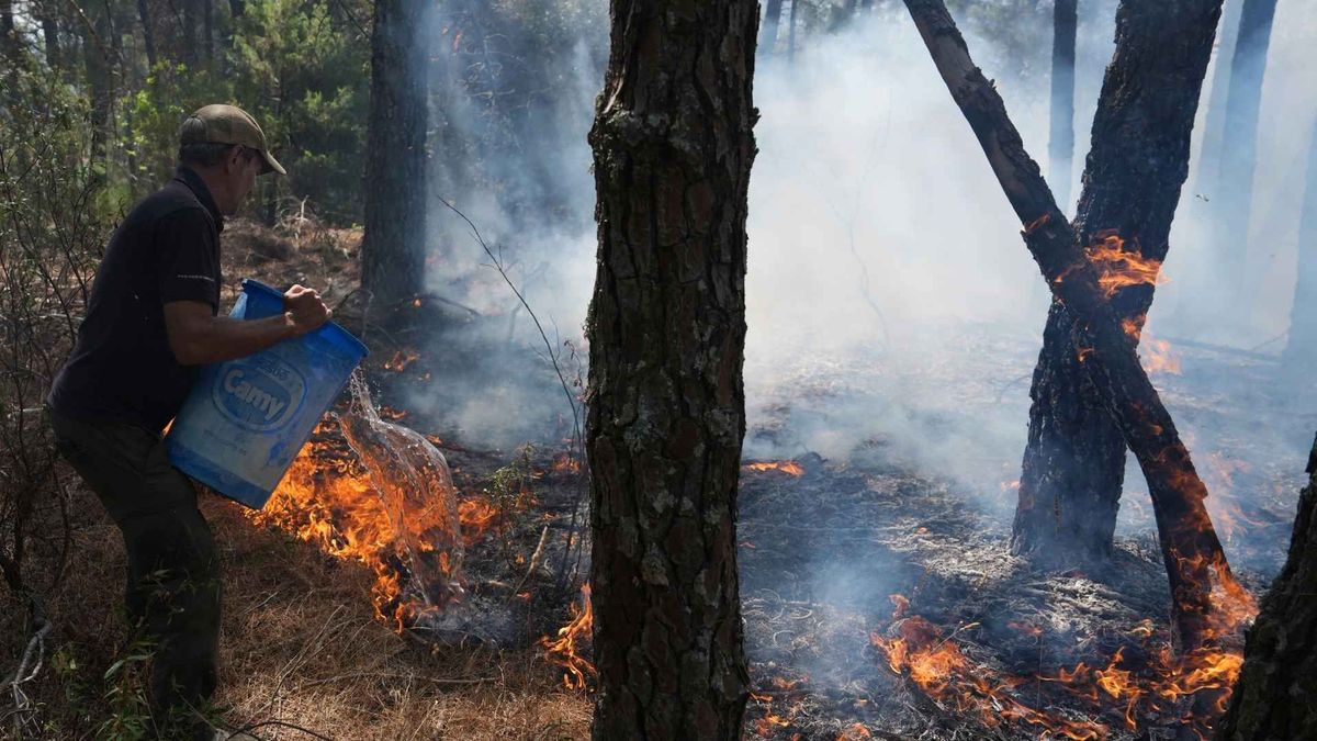 Los incendios forestales en Madrid y Ávila han obligado a evacuar a miles de personas mientras continúan las labores para contener las llamas.