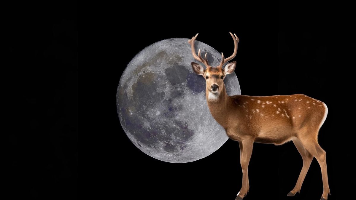 La Luna del Ciervo será visible desde Colombia durante la noche del 29 de julio y podrá observarse a simple vista desde lugares con cielo despejado.