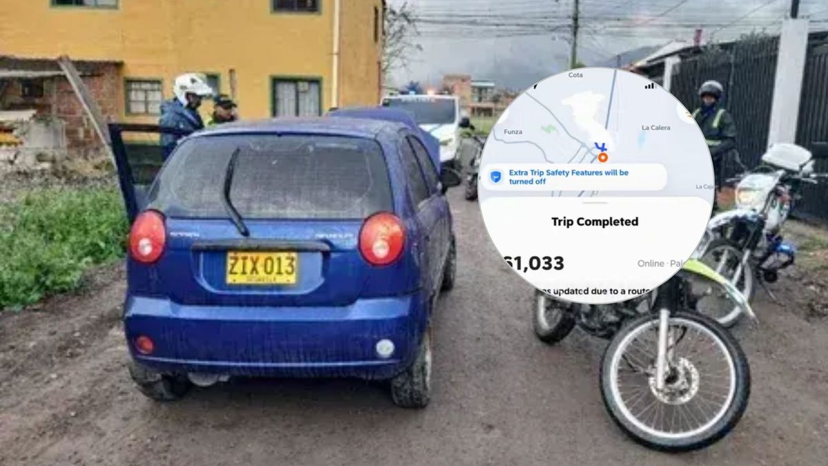 Conductor del Spark Azul