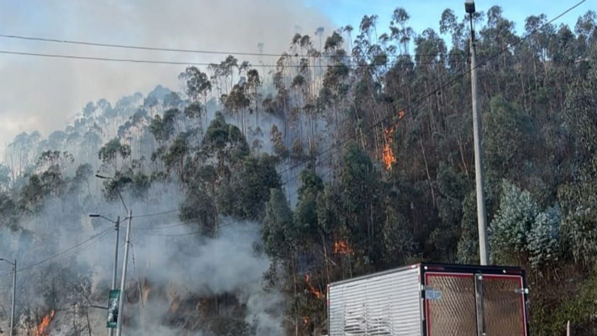 Incendio Forestal