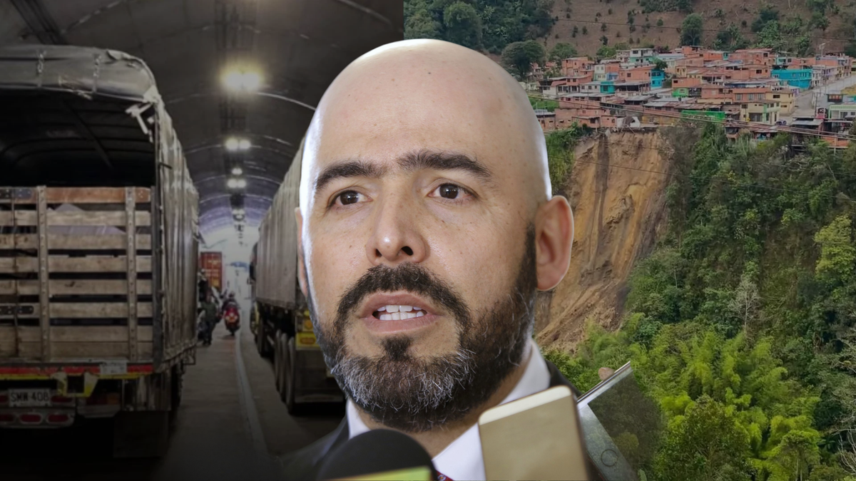 crisis la línea abastecimiento alimentos podrian escasear pollo huevos leche arroz sobrecostos