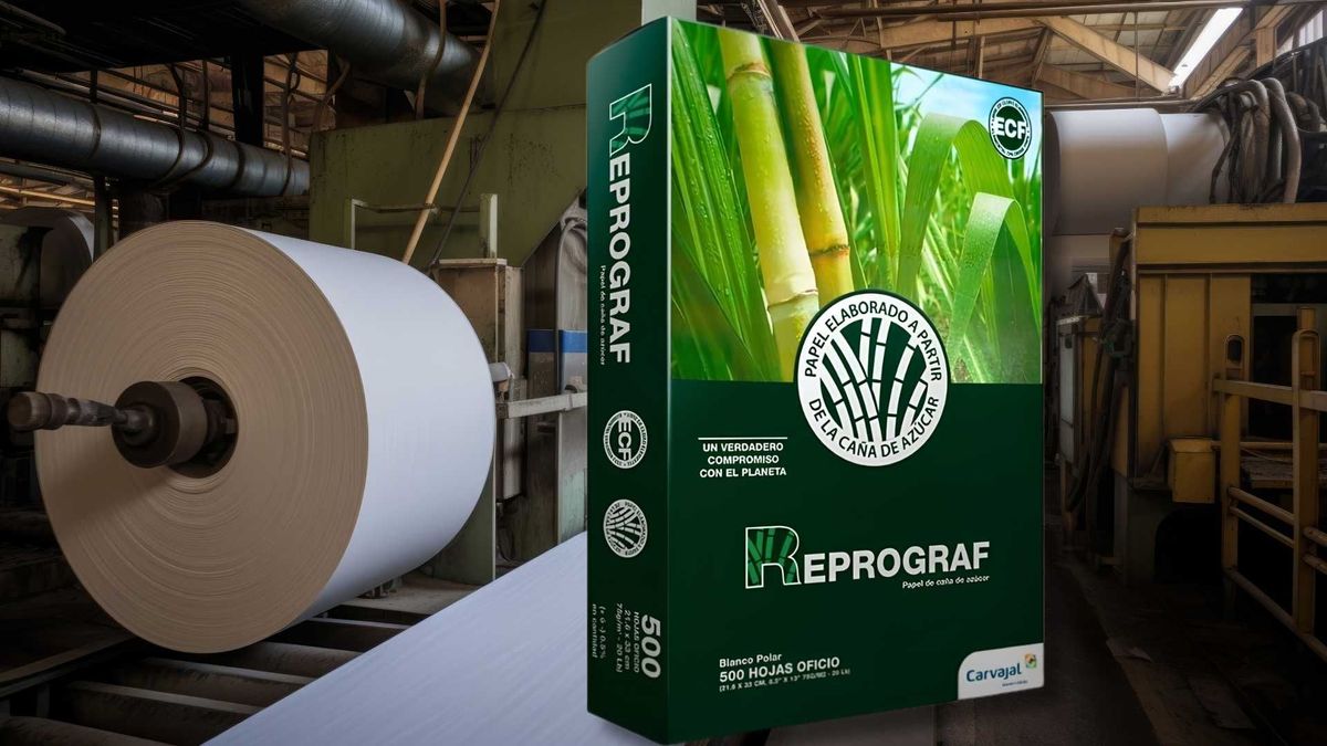 Propal solicitará la liquidación judicial tras concluir que las condiciones financieras ya no permitían mantener la operación.