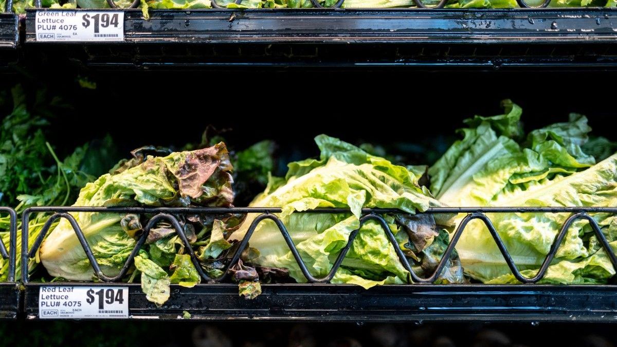 Lechuga en un supermercado