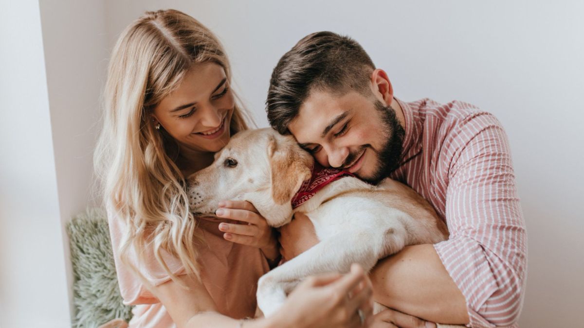 Actualmente existen decisiones judiciales relacionadas con la protección de los animales y mencionaron que estos son reconocidos como "seres sintientes".