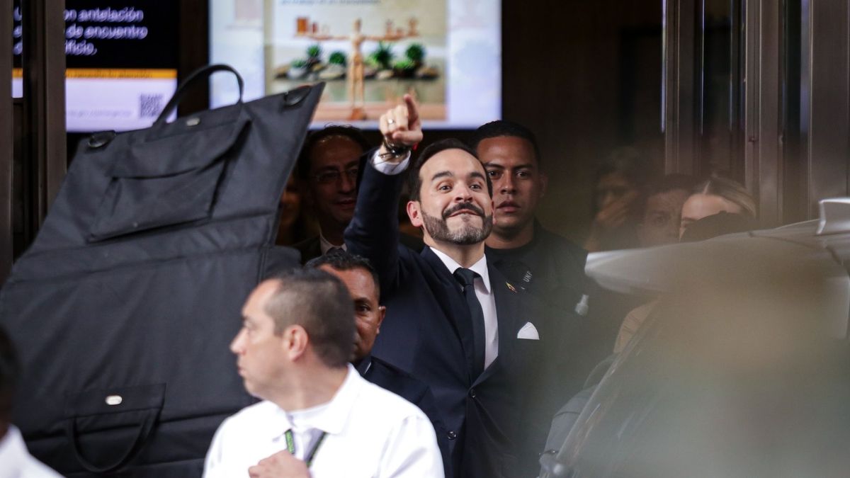 El Consejo de Estado analiza casi cuarenta demandas contra la elección de Abelardo de la Espriella como presidente. Ninguna ha logrado tumbar, ni siquiera por la vía de suspensiones provisionales, la posesión del mandatario entrante.