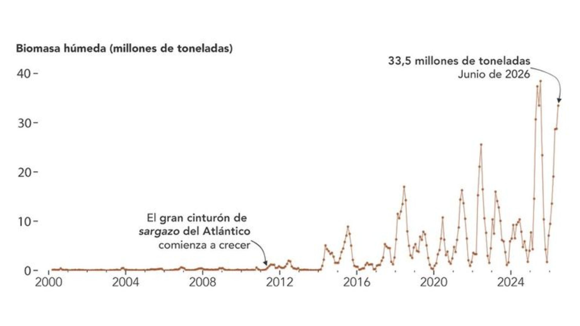 En 2026 se han reportado más de 30 millones de algas en el cinturón.